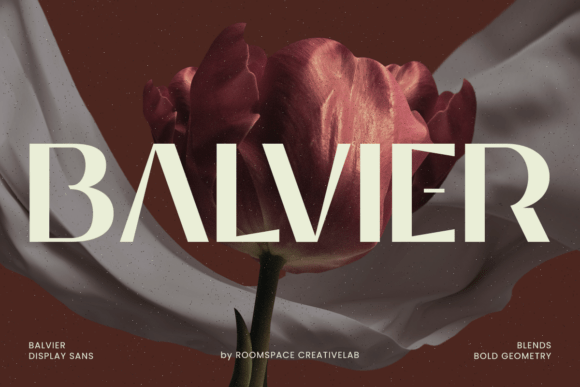 Balvier: A Modern Sans Serif Font That Elevates Your Brand