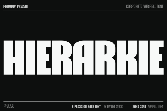 Hierarkie: A Bold Structural Sans Serif for Clear Digital Branding