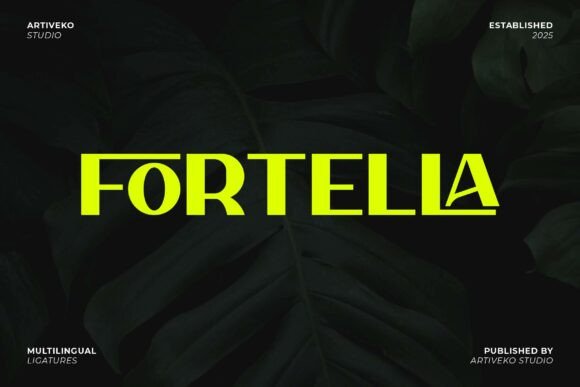 How Fortella Font Transformed My Small Business Branding