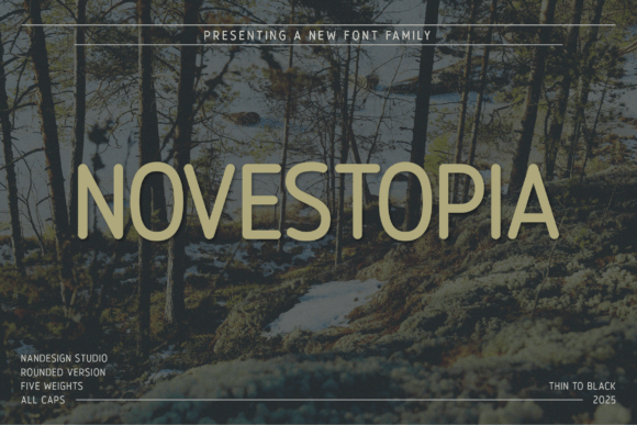 Novestopia Rounded: A Clean Sans Serif Font for Small Business Branding